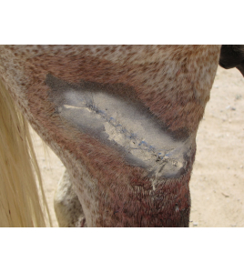 EXCELLENT ALUMINIUM SPRAY