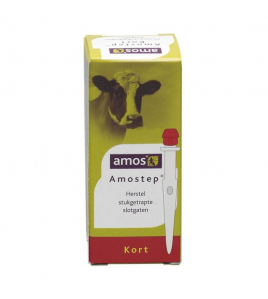 AMOSTEP KORT