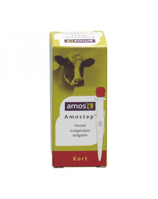 AMOSTEP KORT