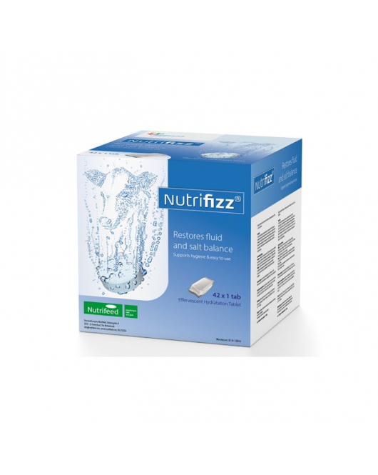 NUTRIFIZZ BRUISTABLET 42 X 1 TABL