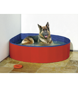 DOGGY SPLASH POOL BLAUW/ROOD 80X 20CM