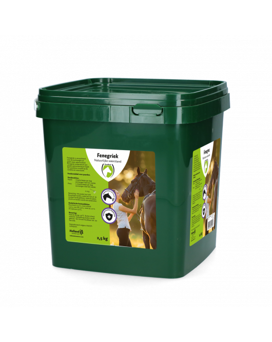 FENUGREEK (FENEGRIEK) 2,5 KG
