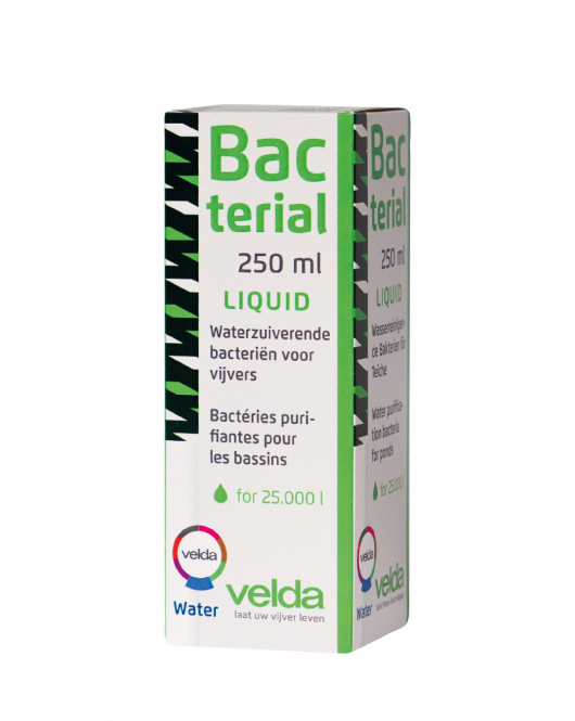 BACTERIAL LIQUID 250ML