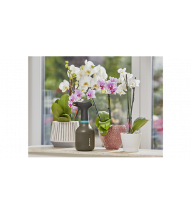 PLANTENSPUIT 0,75L PLANTENSPUIT 0,75L