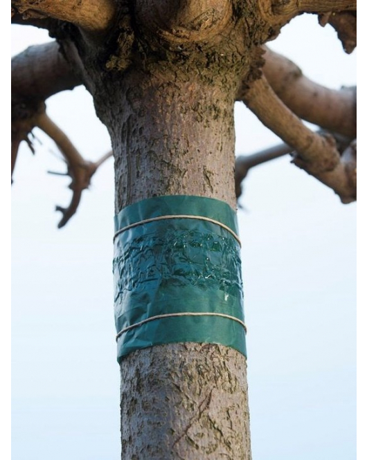 INSECTENKLEEFBAND 1,5M