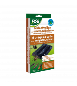 KLEEFVAL VOOR SPINNEN 6 ST