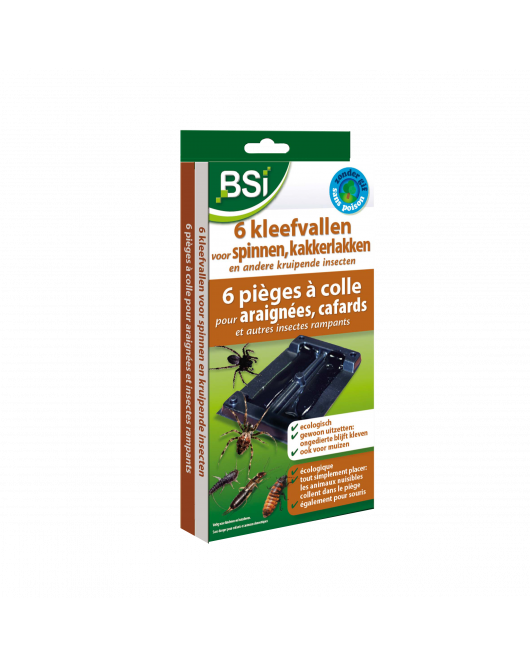 KLEEFVAL VOOR SPINNEN 6 ST