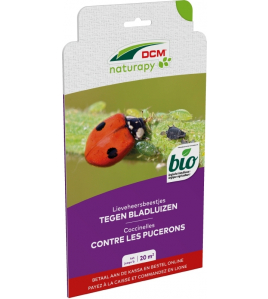 DCM LIEVEHEERSBEESTJES TEGEN BLADLUIZEN ADALI-GUARD® 20 M² (100 LARVEN) DCM LIEVEHEERSBEESTJES TEGEN BLADLUIZEN ADALI-GUARD® 20 M² (100 LARVEN)