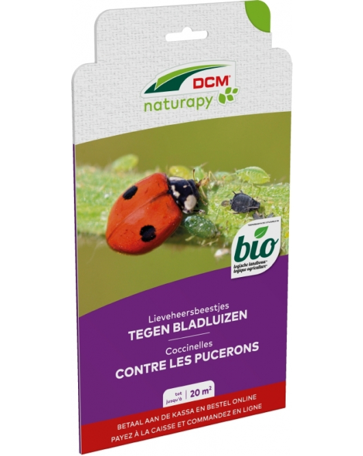 DCM LIEVEHEERSBEESTJES TEGEN BLADLUIZEN ADALI-GUARD® 20 M² (100 LARVEN)