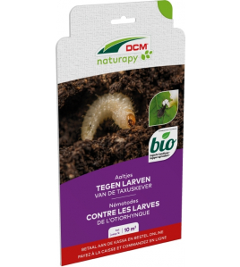DCM AALTJES TEGEN LARVEN VAN DE TAXUSKEVER KRAUSSI-GUARD® 10 M² (5 MIO. AALTJES) DCM AALTJES TEGEN LARVEN VAN DE TAXUSKEVER KRAUSSI-GUARD® 10 M² (5 MIO. AALTJES)