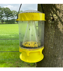 KNOCK PEST VLIEGENVAL XL 1 ST