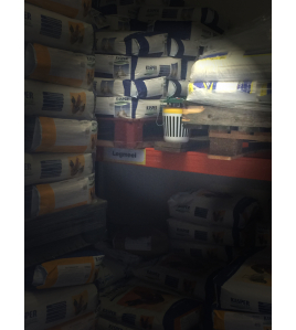 BLACK STRIPE MOTTENVAL 1 ST