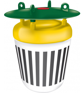 BLACK STRIPE MOTTENVAL 1 ST