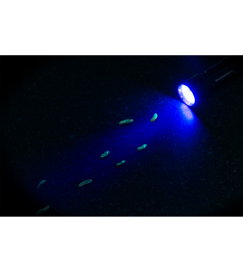 ZAKLANTAARN 5-LED UV BLACK LIGHT 1 ST