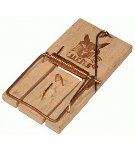 MUIZENVAL LUCHS HOUT