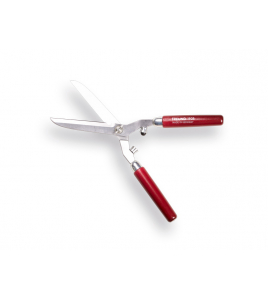 HEGGENSCHAAAR FREUND 1908