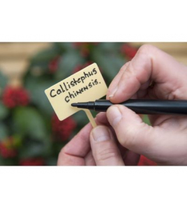 PLAATETIKETTEN INCL.TUINSTIFT H13 CM GEEL 10 STUKS/SET