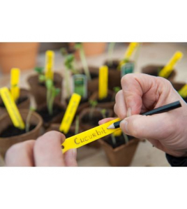 PLANTENETIKETTEN INCL.POTLOOD H10 CM 25 STUKS/SET