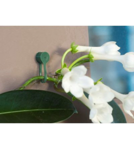 PLANTENKLEMMEN 15MM GROEN 15 / SET