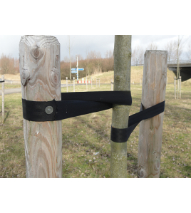 BOOMBAND AUTOGORDEL 50MX5CM ZWART BOOMBAND AUTOGORDEL 50MX5CM ZWART