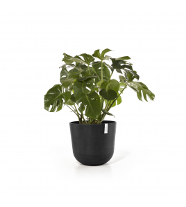 OSLO 55 DARK GREY OSLO 55 DARK GREY