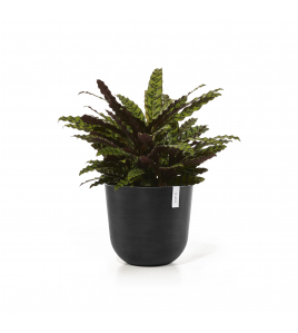 OSLO 45 DARK GREY OSLO 45 DARK GREY