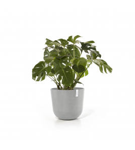 OSLO 55 WHITE GREY OSLO 55 WHITE GREY