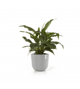 OSLO 45 WHITE GREY OSLO 45 WHITE GREY