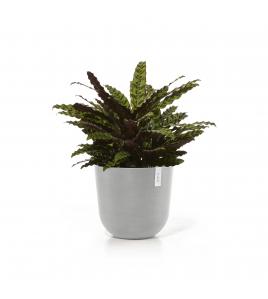 OSLO 45 WHITE GREY OSLO 45 WHITE GREY