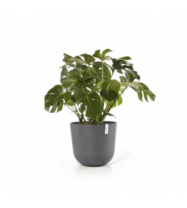 OSLO 55 GREY OSLO 55 GREY