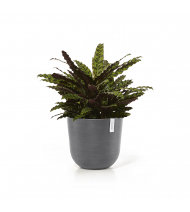 OSLO 45 GREY OSLO 45 GREY