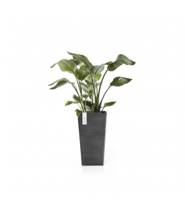 ROTTERDAM MID HIGH 56 DARK GREY ROTTERDAM MID HIGH 56 DARK GREY