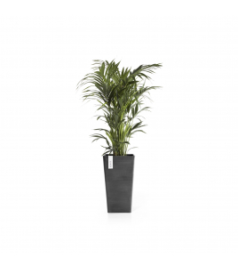 ROTTERDAM MID HIGH 56 DARK GREY ROTTERDAM MID HIGH 56 DARK GREY