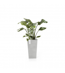 ROTTERDAM MID HIGH 56 WHITE GREY ROTTERDAM MID HIGH 56 WHITE GREY