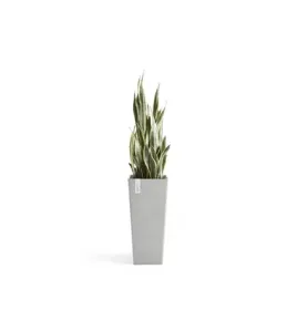 ROTTERDAM HIGH 70 WHITE GREY