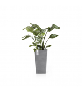 ROTTERDAM MID HIGH 56 GREY ROTTERDAM MID HIGH 56 GREY