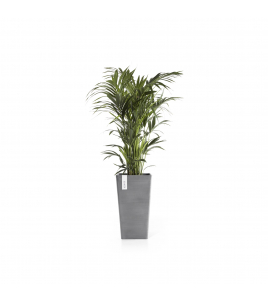 ROTTERDAM MID HIGH 56 GREY ROTTERDAM MID HIGH 56 GREY