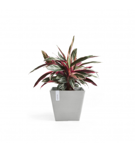 ROTTERDAM 50 WHITE GREY ROTTERDAM 50 WHITE GREY