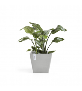 ROTTERDAM 30 WHITE GREY ROTTERDAM 30 WHITE GREY