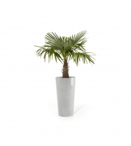 AMSTERDAM EXTRA HIGH 90 WHITE GREY AMSTERDAM EXTRA HIGH 90 WHITE GREY