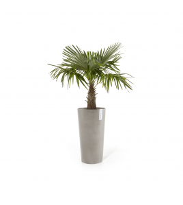 AMSTERDAM EXTRA HIGH 90 TAUPE AMSTERDAM EXTRA HIGH 90 TAUPE