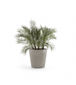 AMSTERDAM WHEELS 60 TAUPE AMSTERDAM WHEELS 60 TAUPE