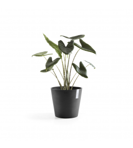 AMSTERDAM 40 DARK GREY AMSTERDAM 40 DARK GREY