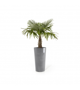 AMSTERDAM HIGH 76 GREY AMSTERDAM HIGH 76 GREY