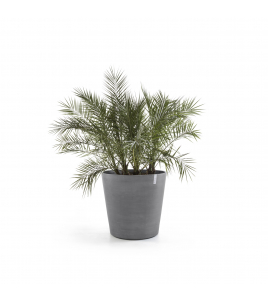 AMSTERDAM WHEELS 80 GREY AMSTERDAM WHEELS 80 GREY