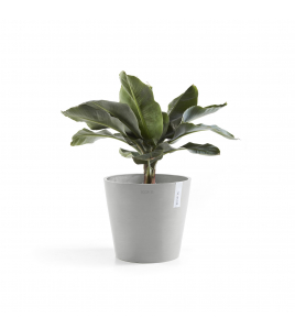 AMSTERDAM 30 WHITE GREY AMSTERDAM 30 WHITE GREY