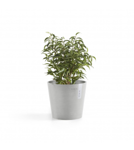 AMSTERDAM 17 WHITE GREY AMSTERDAM 17 WHITE GREY