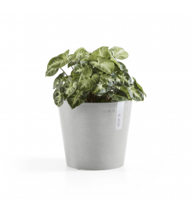 AMSTERDAM 17 WHITE GREY AMSTERDAM 17 WHITE GREY