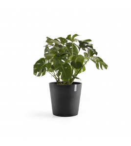 AMSTERDAM 50 DARK GREY AMSTERDAM 50 DARK GREY