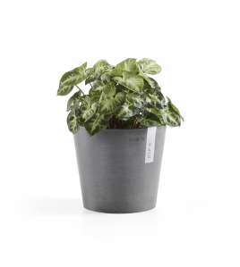 AMSTERDAM 17 GREY AMSTERDAM 17 GREY